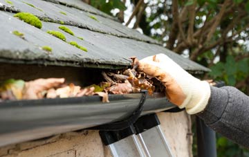 gutter cleaning Wrights Green